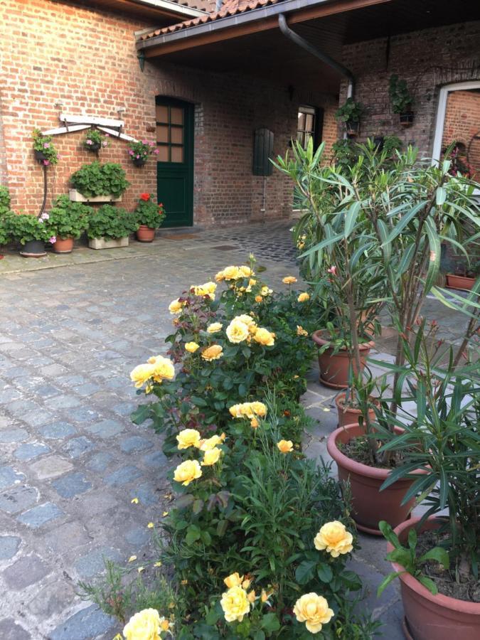 ブヴィーヌ Ferme Brocart Bed & Breakfast エクステリア 写真